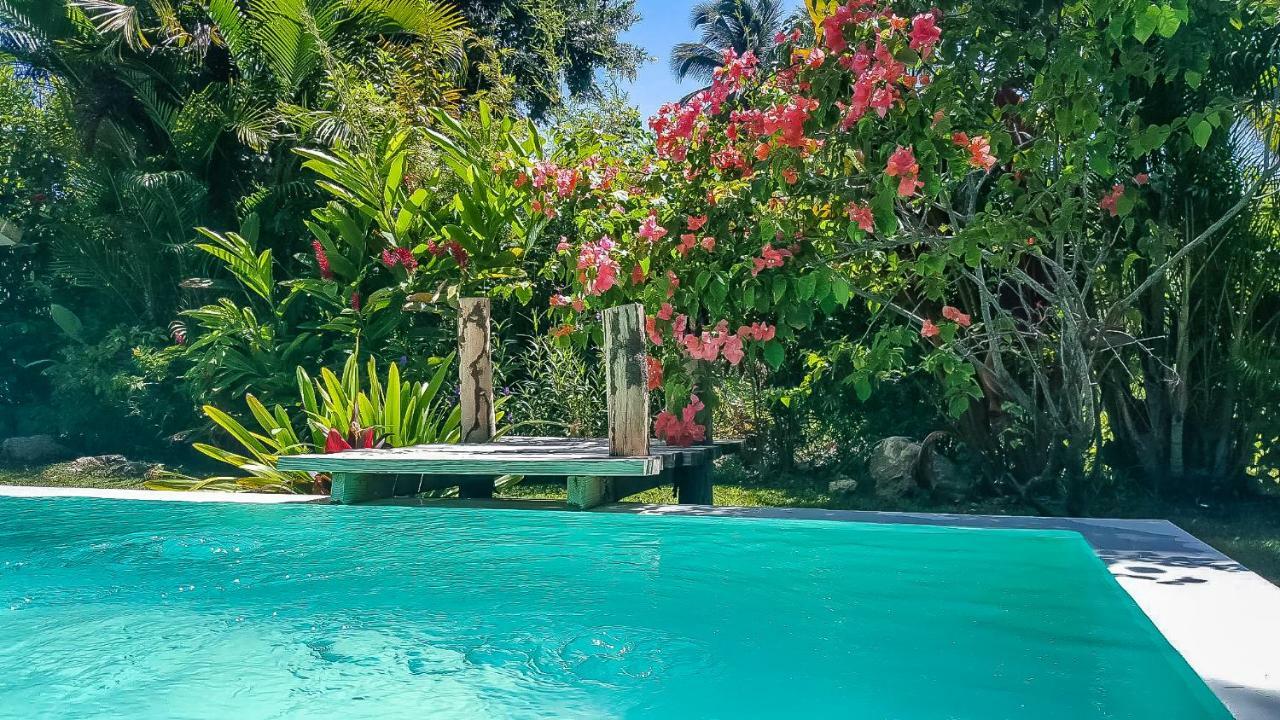 Villa Strelitzia Cabarete ภายนอก รูปภาพ
