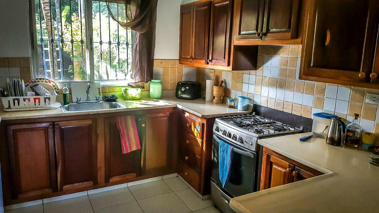 Villa Strelitzia Cabarete ภายนอก รูปภาพ